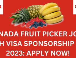 fruit picking jobs in canada with visa sponsorship